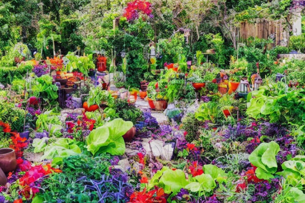 Fra jord til bord: J-Line’s potter og plantekrukker til at dyrke dine egne økologiske råvarer