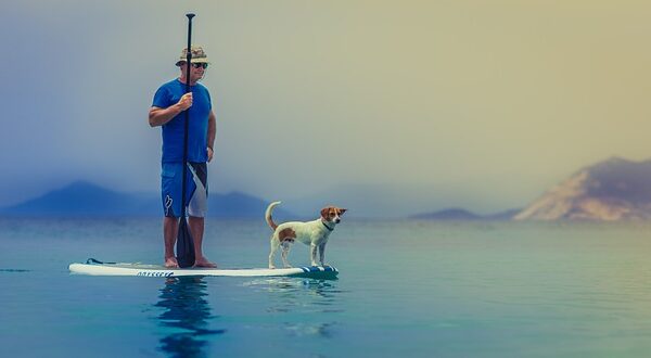 Bestway Paddleboards: The Perfect Companion for Summer Fun and Fitness