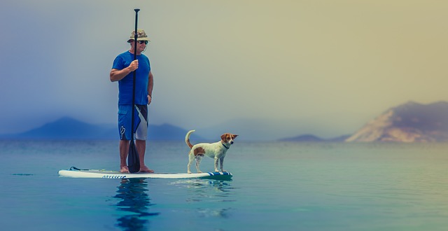 Bestway Paddleboards: The Perfect Companion for Summer Fun and Fitness